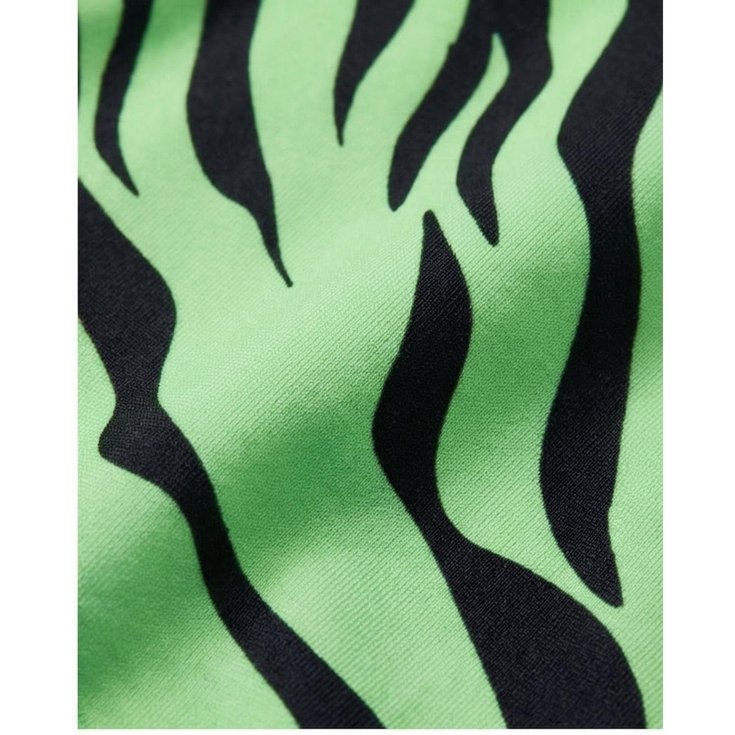 FLUORESCENT GREEN ZEBRA BUTTERFLY