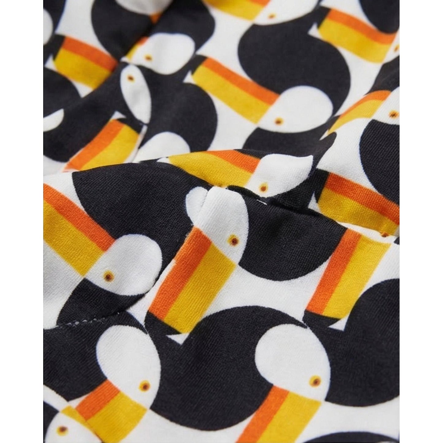 TOUCAN BUTTERFLY %