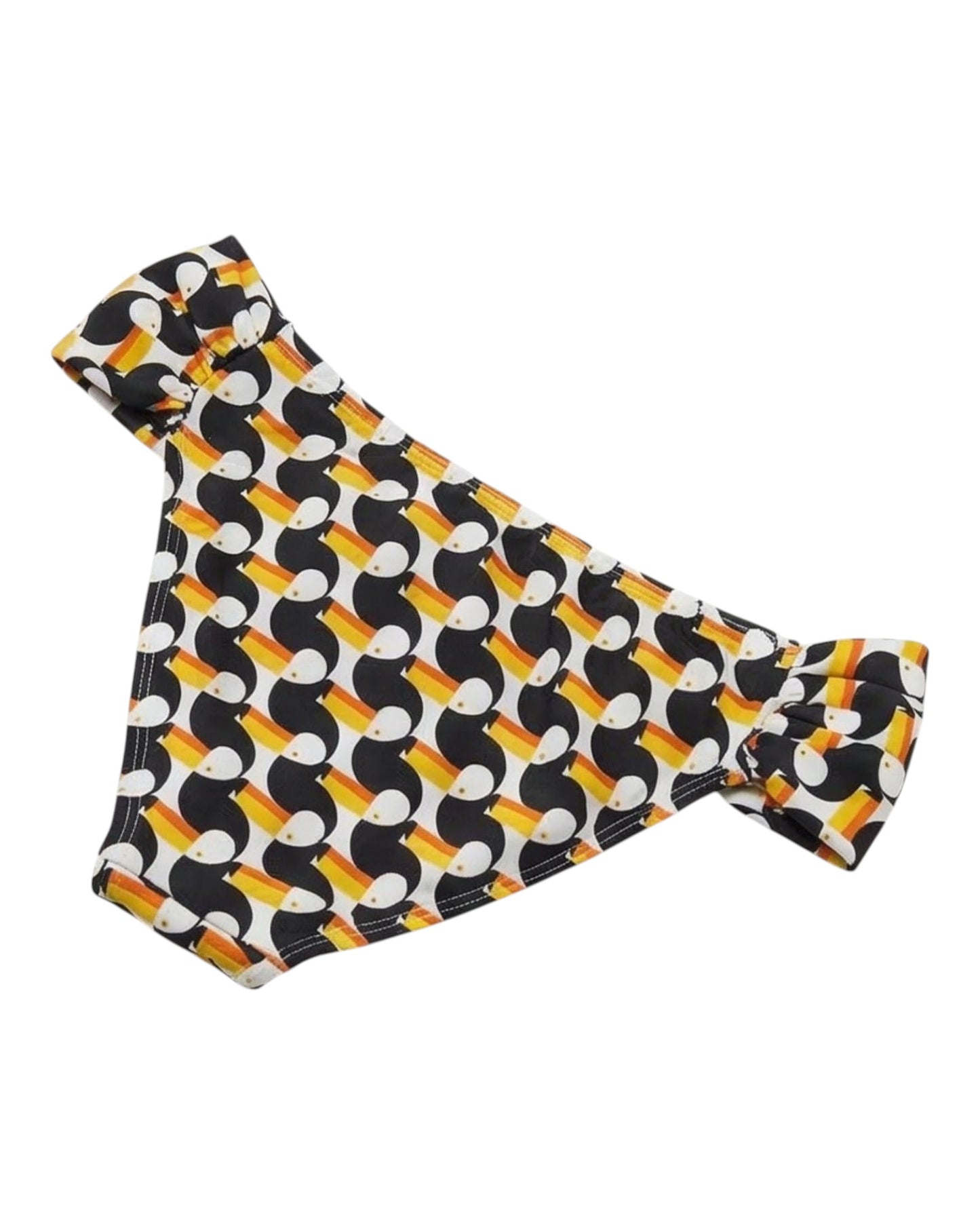 TOUCAN BUTTERFLY %