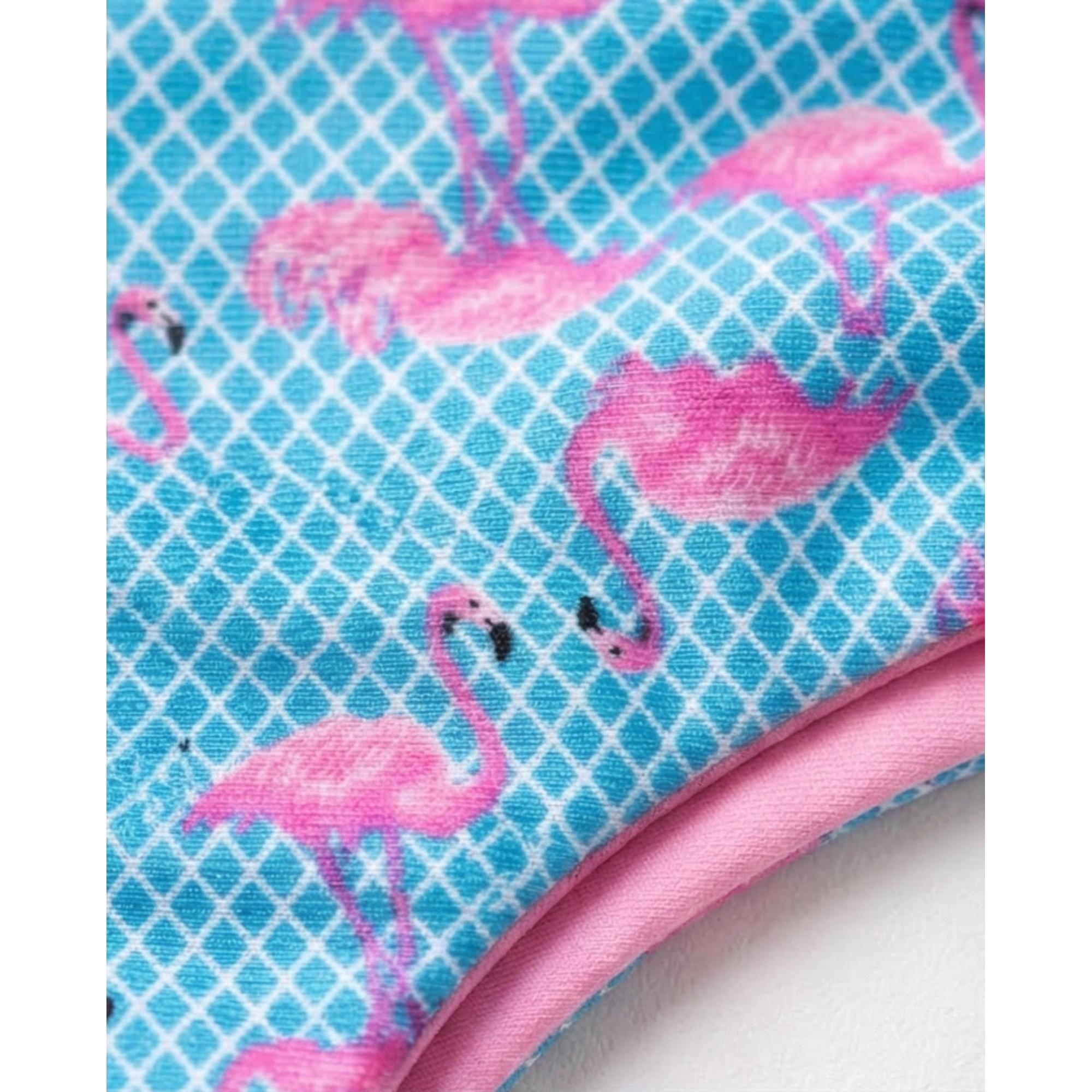 FLAMENCO HANG GLIDING %